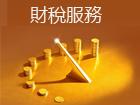 专业代理服务,财税代理服务,税务事项代理