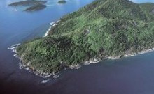 注册马绍尔公司专题